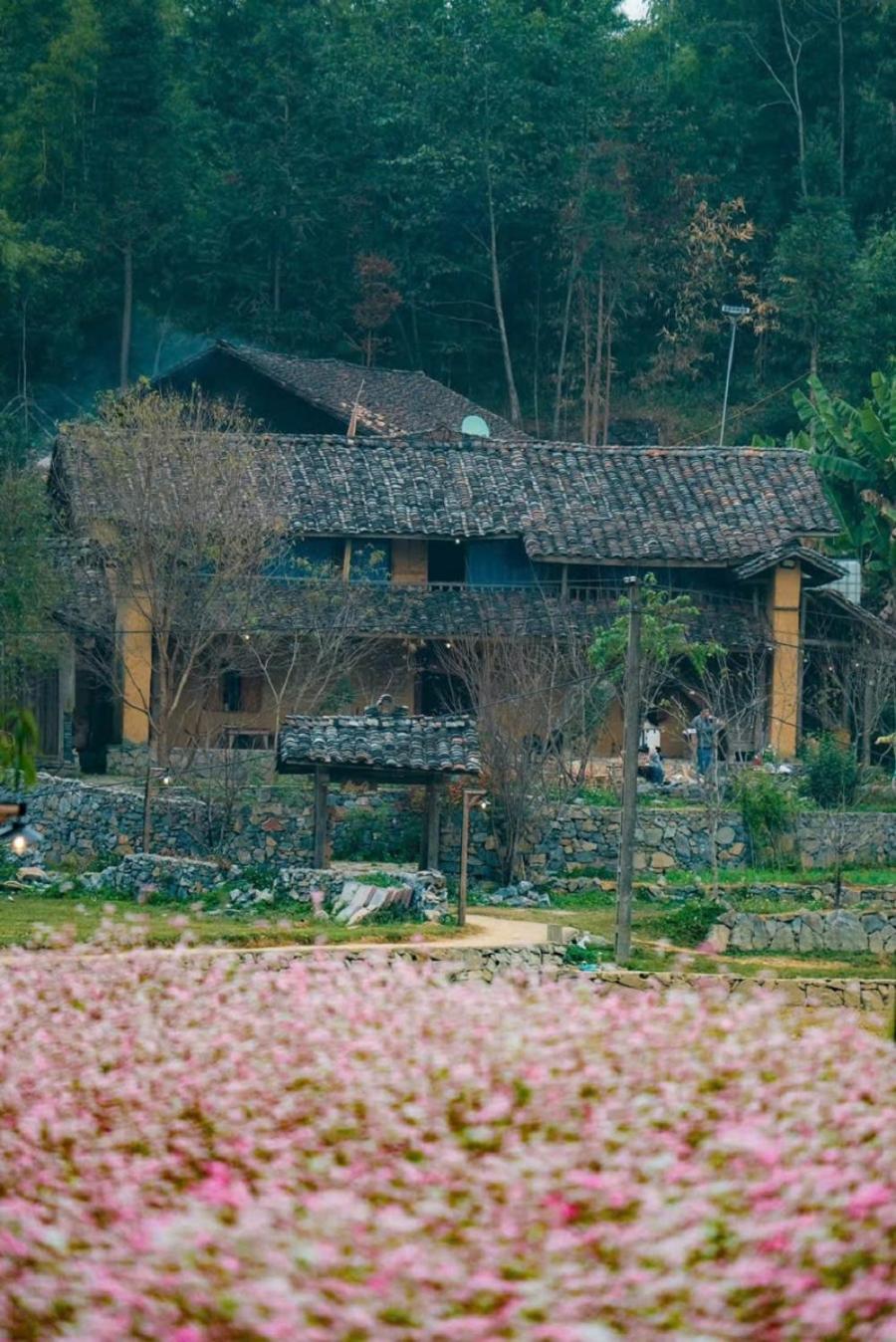 Voi Meo Vac Hostel & Breakfast Экстерьер фото