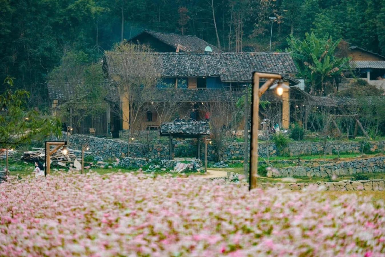 Voi Meo Vac Hostel & Breakfast Экстерьер фото